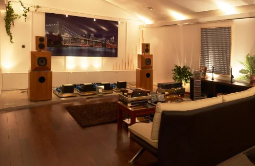 Click for large image of JA800 Jadis JA500 MkII monoblocks